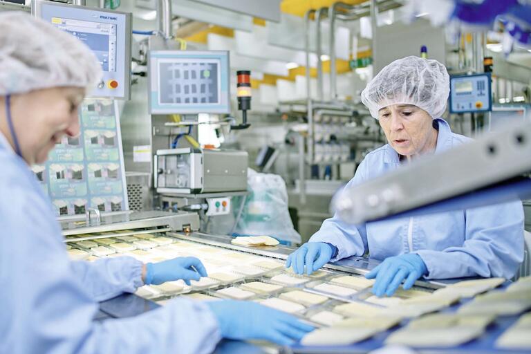  Nein, das ist keine Chip-Fabrik: ein Blick in die industrielle Käseproduktion. 