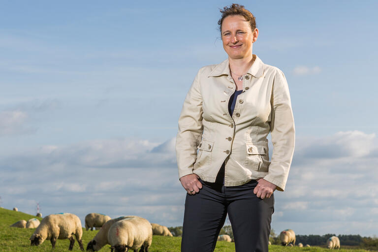 In Norddeutschland Zuhaus: Auf langen Spaziergängen findet Claudia Heilig für jedes Problem eine Lösung.