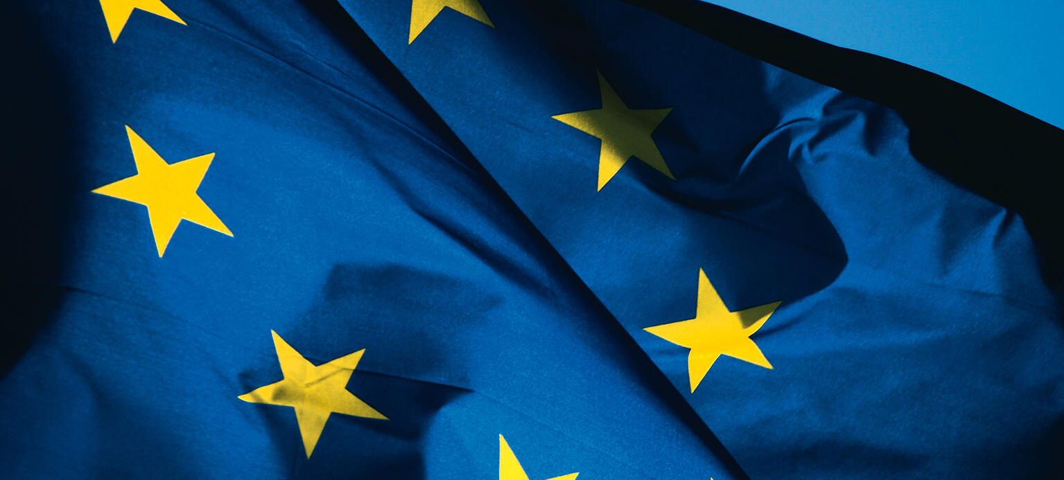 Wir haben den Spitzenkandidaten von fünf Parteien drei Fragen zur Zukunft der EU gestellt. Hier sind ihre Antworten.