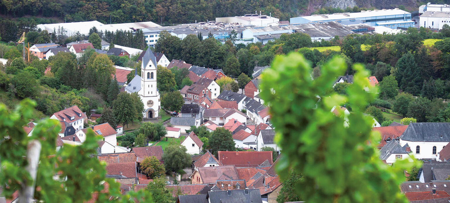 Blick auf Bockenau , Produktionsstätten des japanischen Autozulieferer Musash
