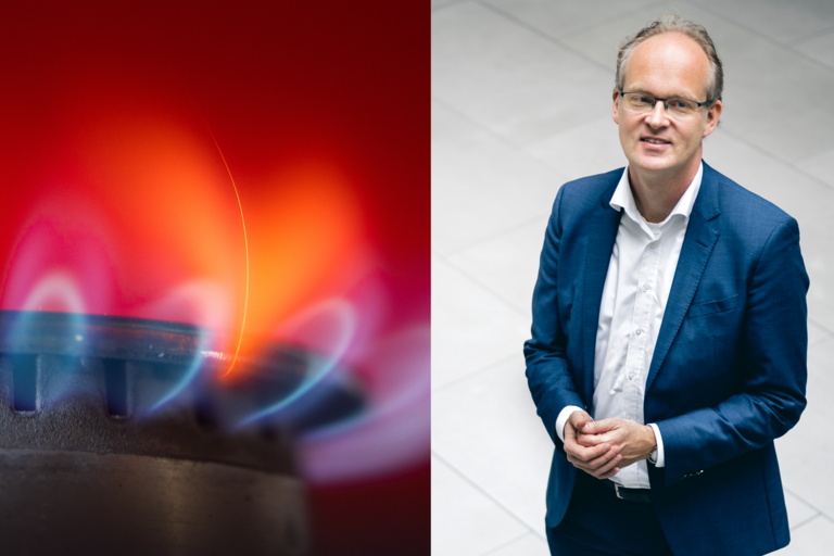 Sebastian Dullien Gaspreisbremse