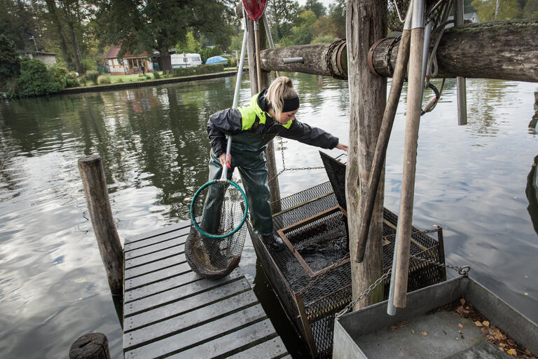 Fischerin Maria Thamm