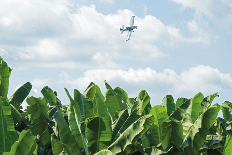 Sprühflugzeug im Einsatz über Bananenplantage