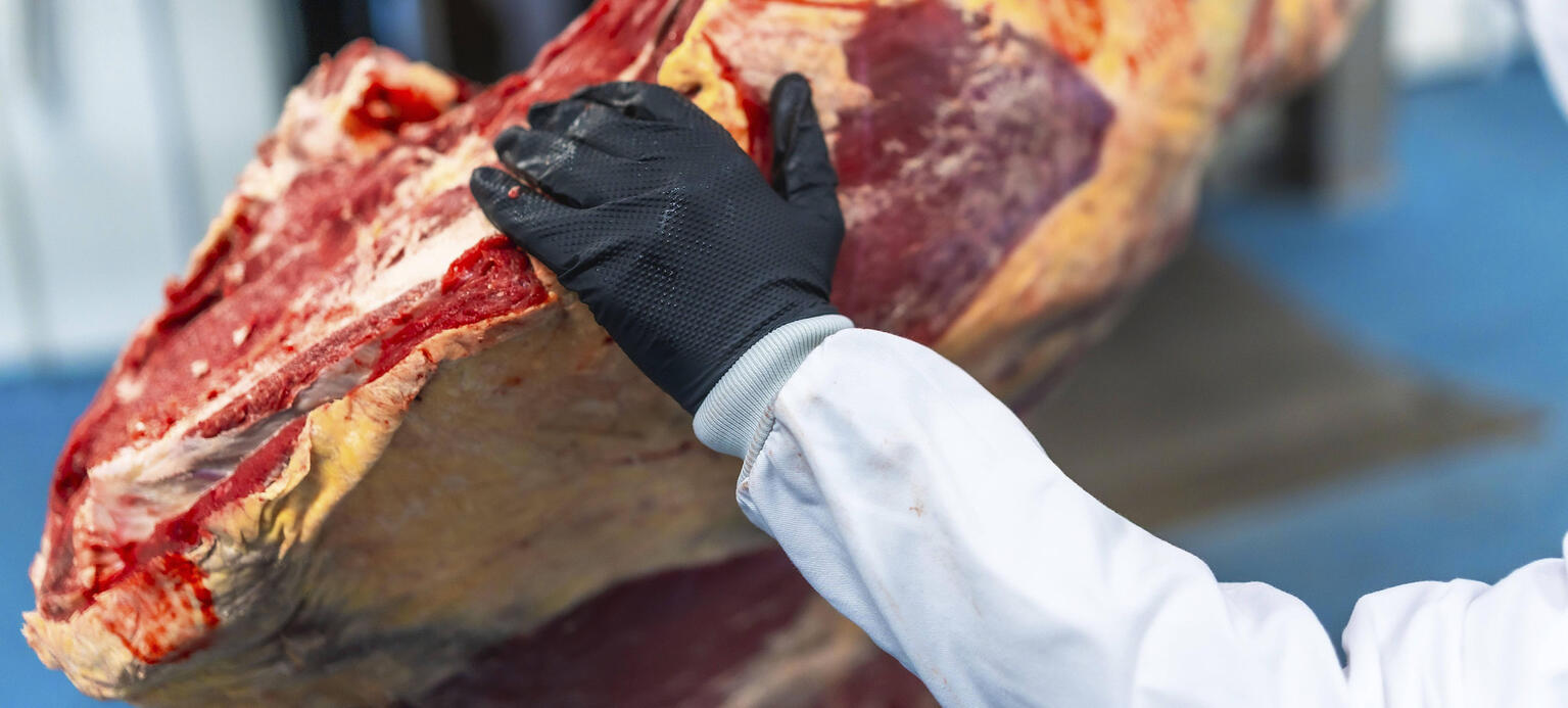 Nahaufnahme von Arbeiterhand und Fleisch in einem Kühlraum in einer Fleischverarbeitungsfabrik .