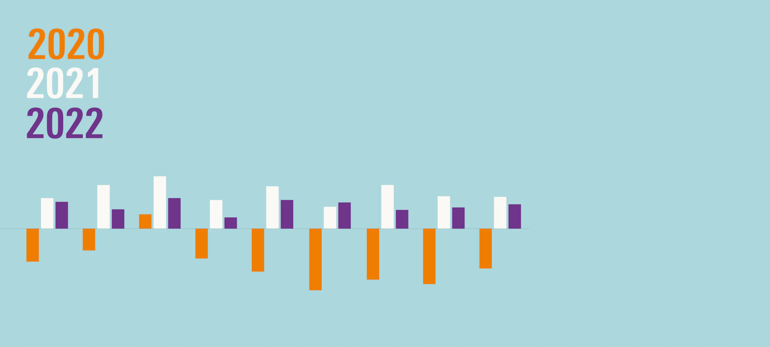 Aufschwung trotz großer Risiken