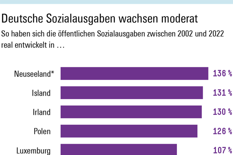 Infografik Böckler Schule zum Thema Sozialstaat