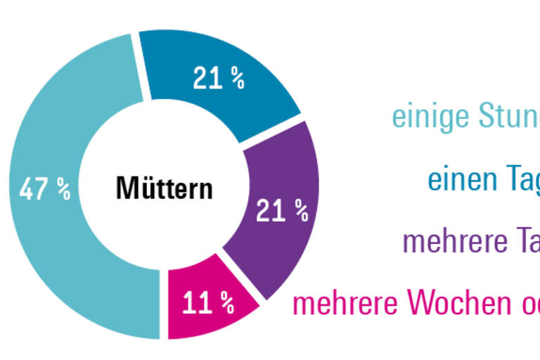 Infografik Böckler Schule zum Thema Gender