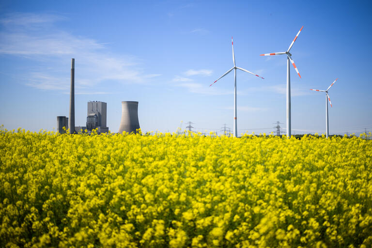 Ein gelb blühendes Rapsfeld im Vordergrund und im Hintergrund links ein Kohlekraftwerk und rechts Windräder.