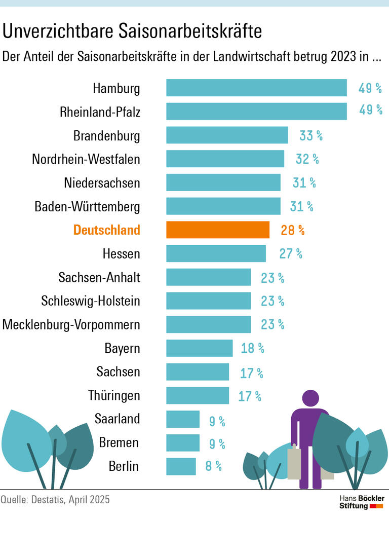 Infografik: Der Anteil der Saisonarbeitskräfte in der deutschen Landwirtschaft lag 2023 bei knapp 30 Prozent. Am höchsten war er in Hamburg und Rheinland-Pfalz mit knapp 50 Prozent.