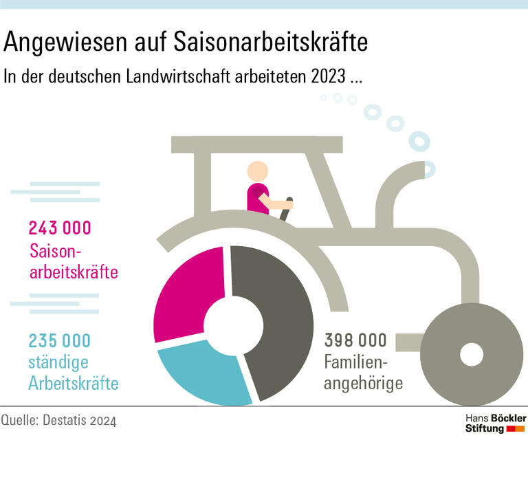 In der deutschen Landwirtschaft arbeiteten 2023 rund 240000 Saisonarbeitskräfte.