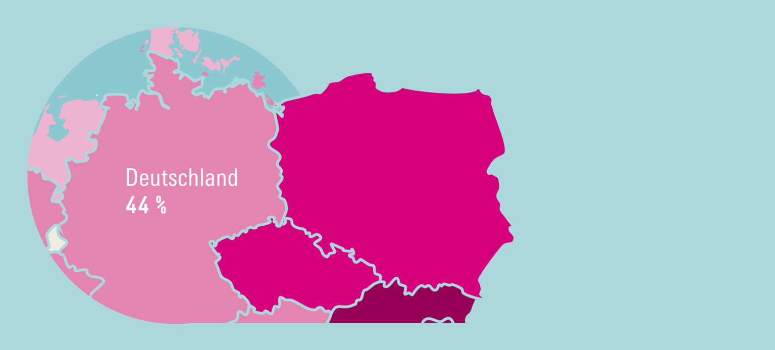 Lückenhafte Grundsicherung