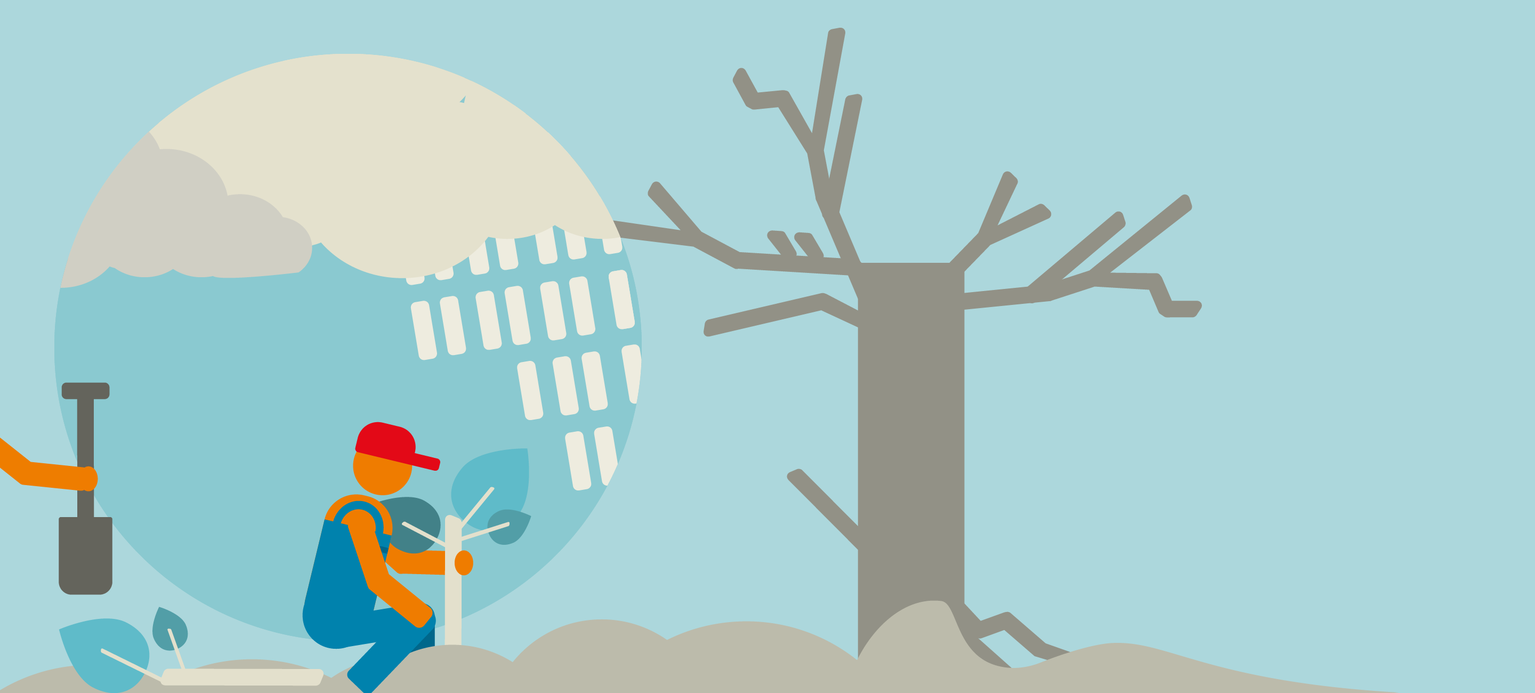  Transformation braucht Beteiligung